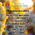 FEIRA DE CASTRELO